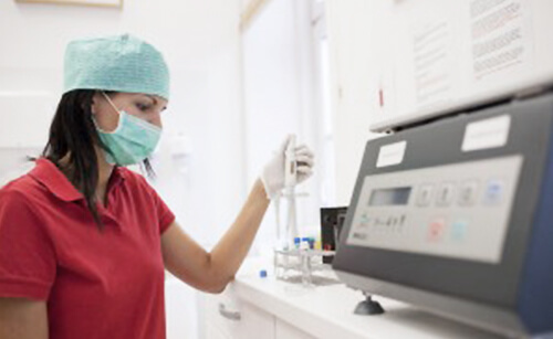 Dr. Stephan Tóka Video